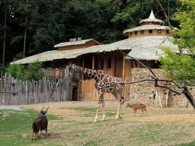 ZOO Jihlava