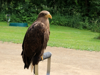 ZOO Jihlava