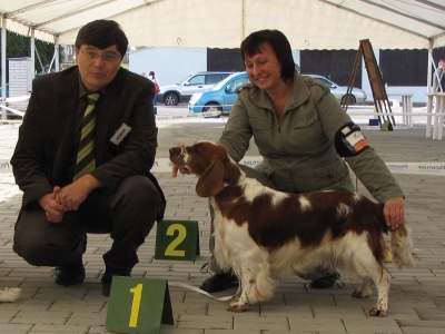 MVP České Budějovice,říjen 2009-CAC, CACIB,BOB